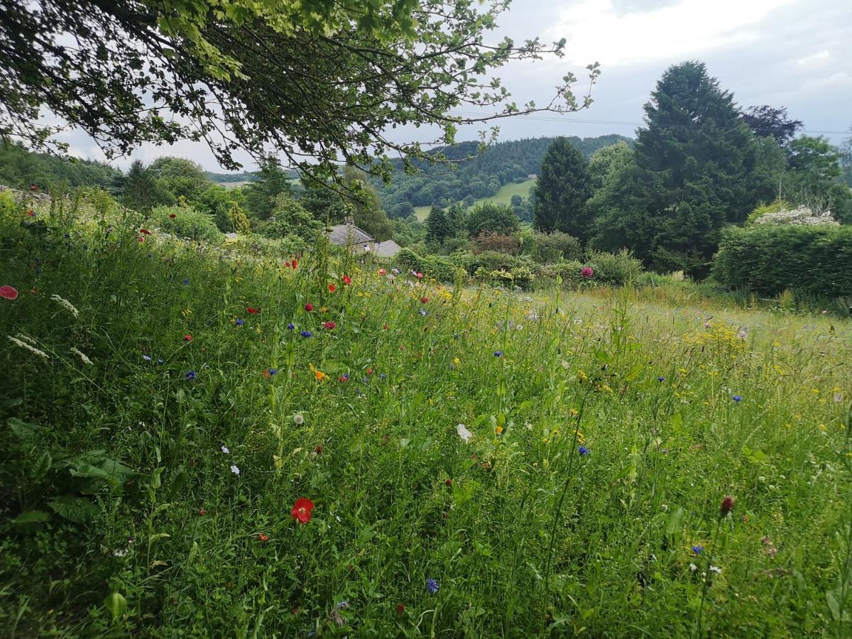 1 Bed Studio In Two Dales Near Matlock & Bakewell מראה חיצוני תמונה